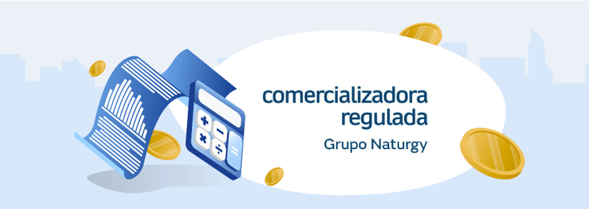 Factura Gas & Power